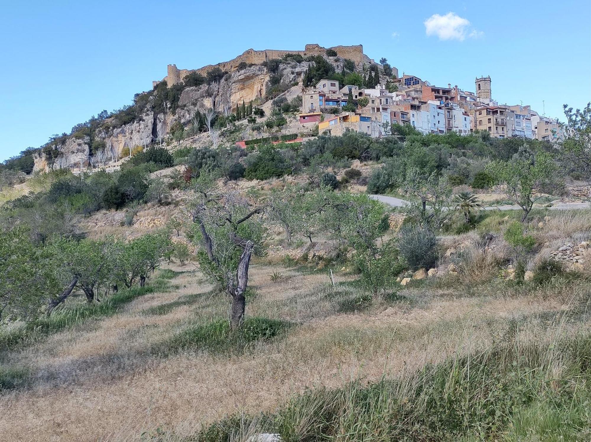 Tranquil And Spacious Townhouse In Historical And Picturesque Cervera Del Maestre Exteriér fotografie